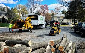 Best Emergency Tree Removal  in Hobart, IN